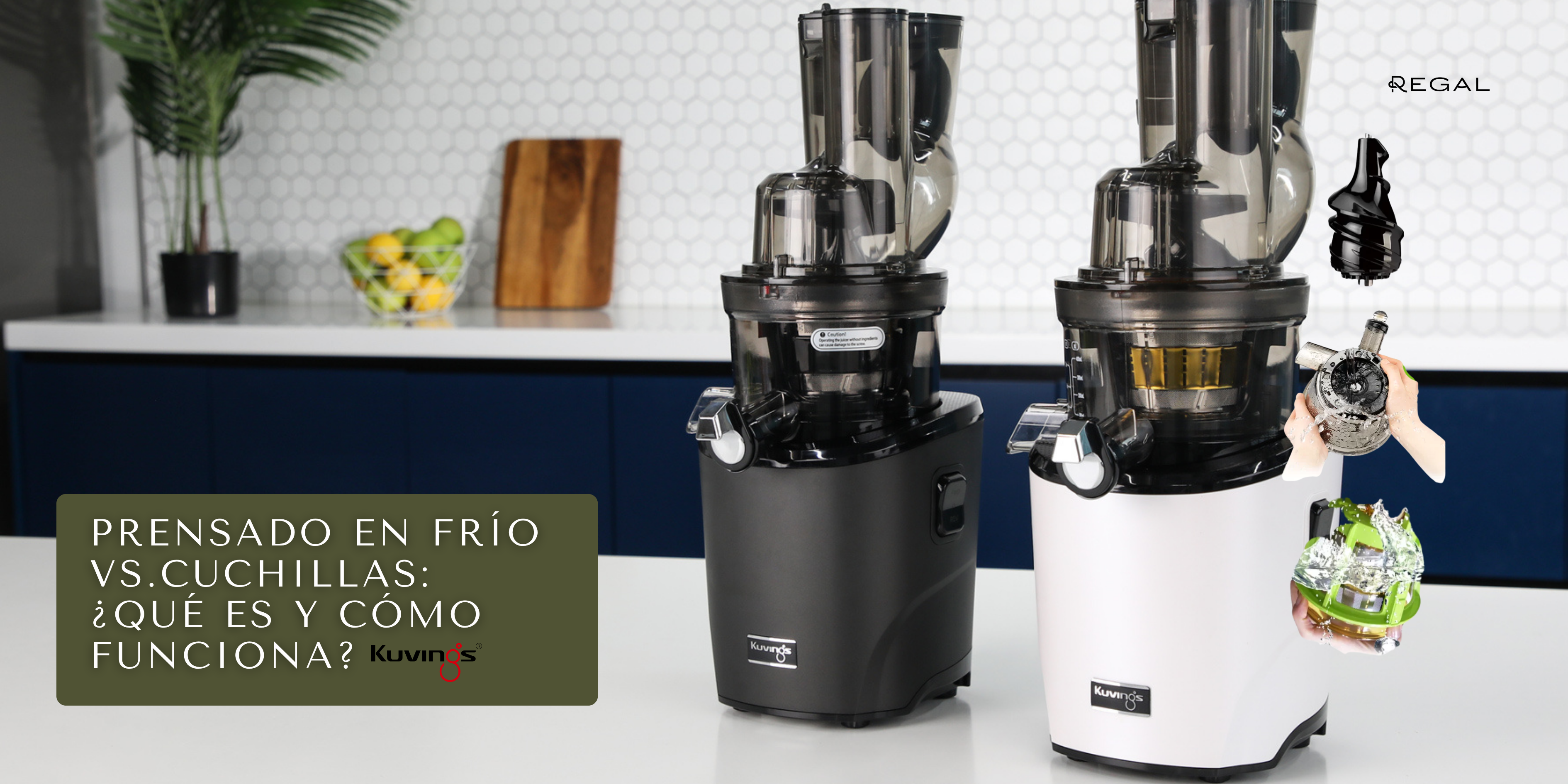 Prensado en Frío vs. Licuadora: Qué es, Cómo Funciona y Por Qué Mejora Tu Salud