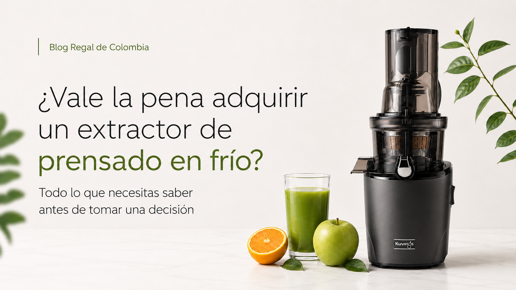 ¿Vale la pena adquirir un extractor de prensado en frío? Todo lo que necesitas saber antes de tomar una decisión